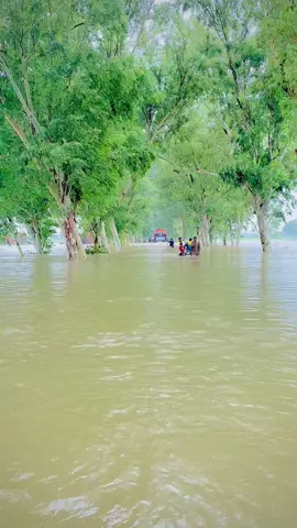 Virl video#rana_shahid07 #foryou #fyp #kartarpursahib #100kviews @ARY NEWS @For You @For You House ⍟ 