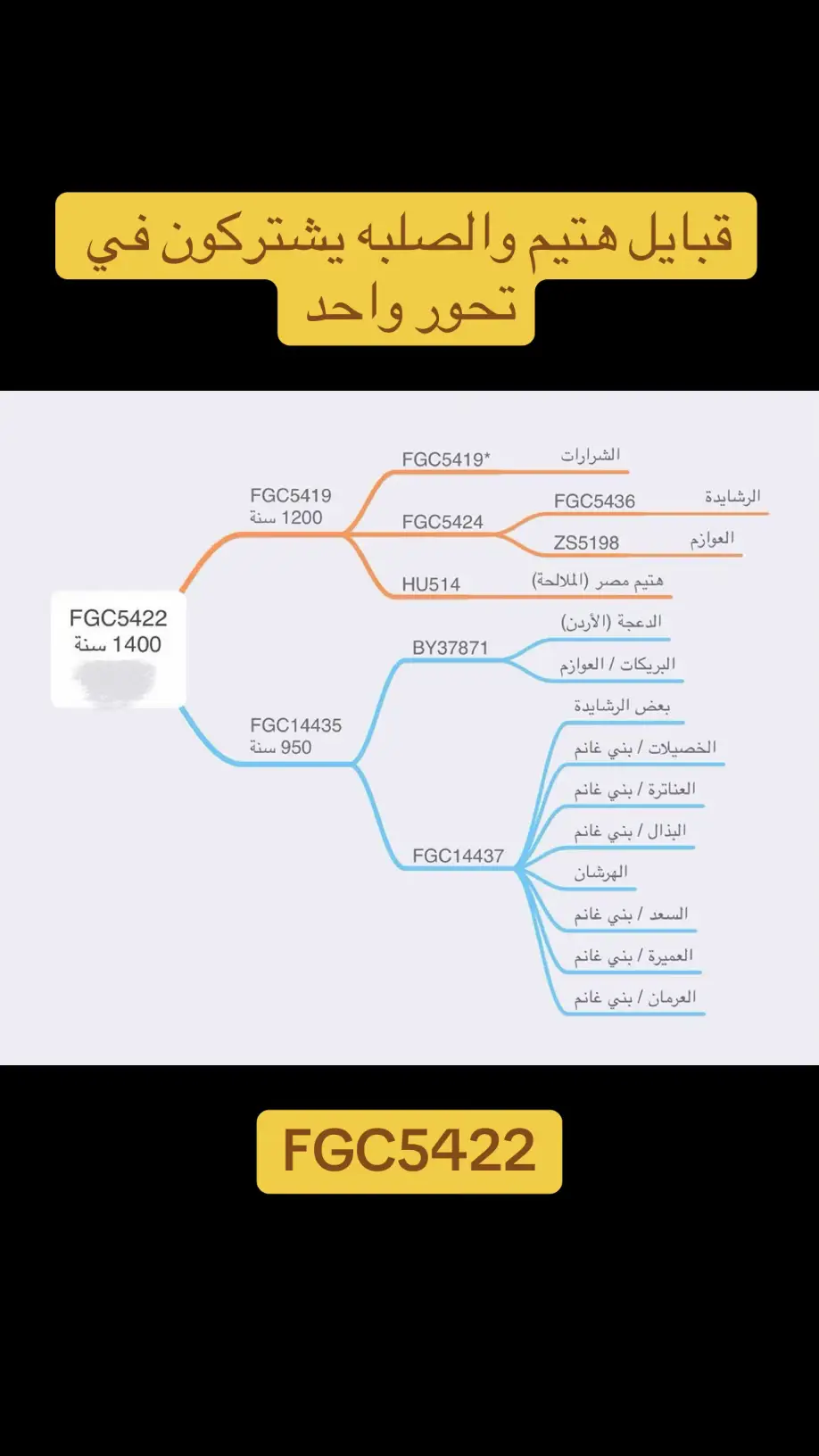 #اكسبلور #Hammel #الشعب_الصيني_ماله_حل😂😂 #هتيم404 #الصلب 