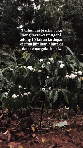 😇 #promomakangajian #petaniindonesia🇮🇩🇮🇩🇮🇩🌿🌿 #petanimuda #petanikopiindonesia #fyp #masukberanda #kopirobustapangandaran 