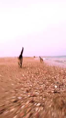 sunset beach send.. @Brodie Moss 
