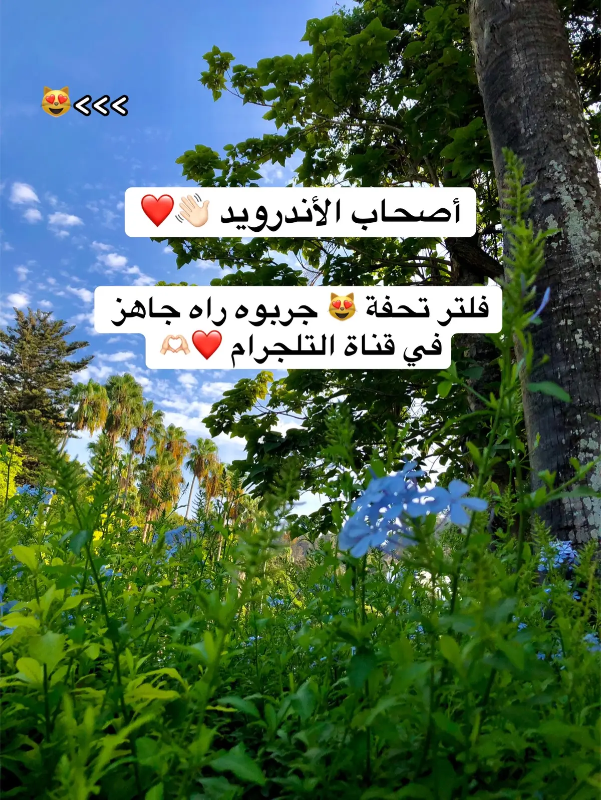 لايت روم😻❤️ #ligthroom #لايت_روم #فلاتر_لايت_روم #photography #تعديل_الصور 