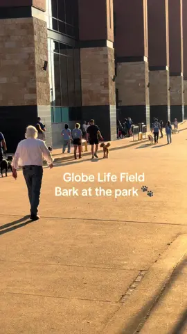 Texas Rangers Bark at the Park!🐾 #barkatthepark #texasrangers #baseball @Texas Rangers 
