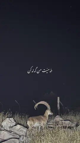 توو وەرە ب رەڤینە🖤 #dawray #sherwani #b4rz4niii101 #nsbarzani #ئەکتیڤبن🥀🖤ـہہـ٨ــہ 