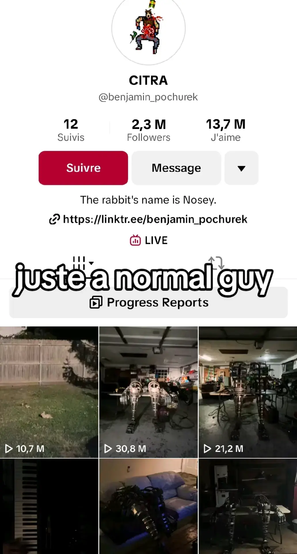 #bunny 