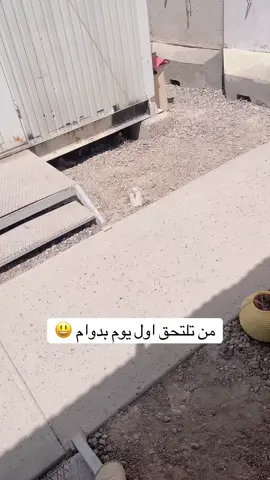 #الشعب_الصيني_ماله_حل😂😂 
