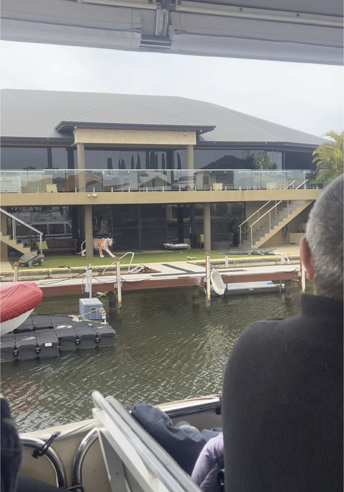 ‘Mandurah Dolphin Cruise and Views’ 💵$84 for two adults  #mandurah #dolphincruise #spendthedaywithme 