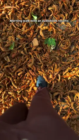 Morning walks with an audiobook might just be my new morning habit for autumn #morningwalk #audiobooks #readingupdate #londontiktok #bookworm 