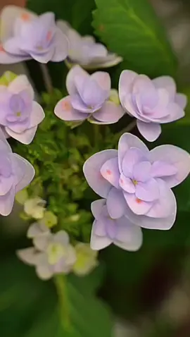 #مساء_الخير #لحظة_فرح 