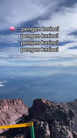 Kerinci is calling 📞 RESERVASI TRIP : ☎️ 628 97 8297 347   ENJOY YOUR TRIP AND BE SAFETY #ruangkelana #kerinci #gunungkerinci #masukberandafyp #pesonaindonesia 