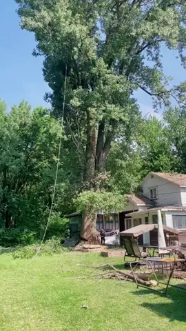 An accident occurred while logging #satisfying #asmr #tree #oddlysatisfyingvideo #fyp 