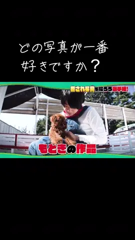#ミセスグリーンアップル #大森元貴 #若井滉斗 #藤澤涼架 #山中綾華 