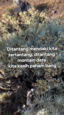makan warteg lauknya kikil, pemain inti izin tampil😋#capcutpioneer #pioneertemplate ##capcut #gedepangrango 