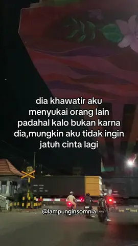 #lampung04insomnia #teratai04insomnia 