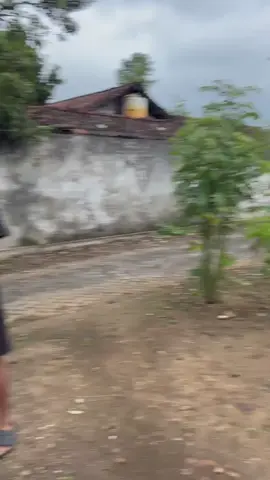 we ngerti lunyu opo ora#pegoncepertulungagung #pegontulungagung #fyp #fypシ゚viral #tulungagung24jam 