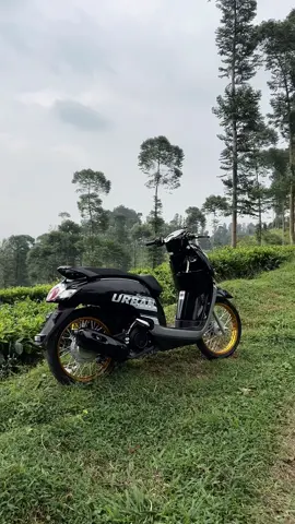 scoopy dengan sound keramatnya🇹🇭🇹🇭🇹🇭 #scoopy #scoopyurban #scoopythailand #thailand🇹🇭 