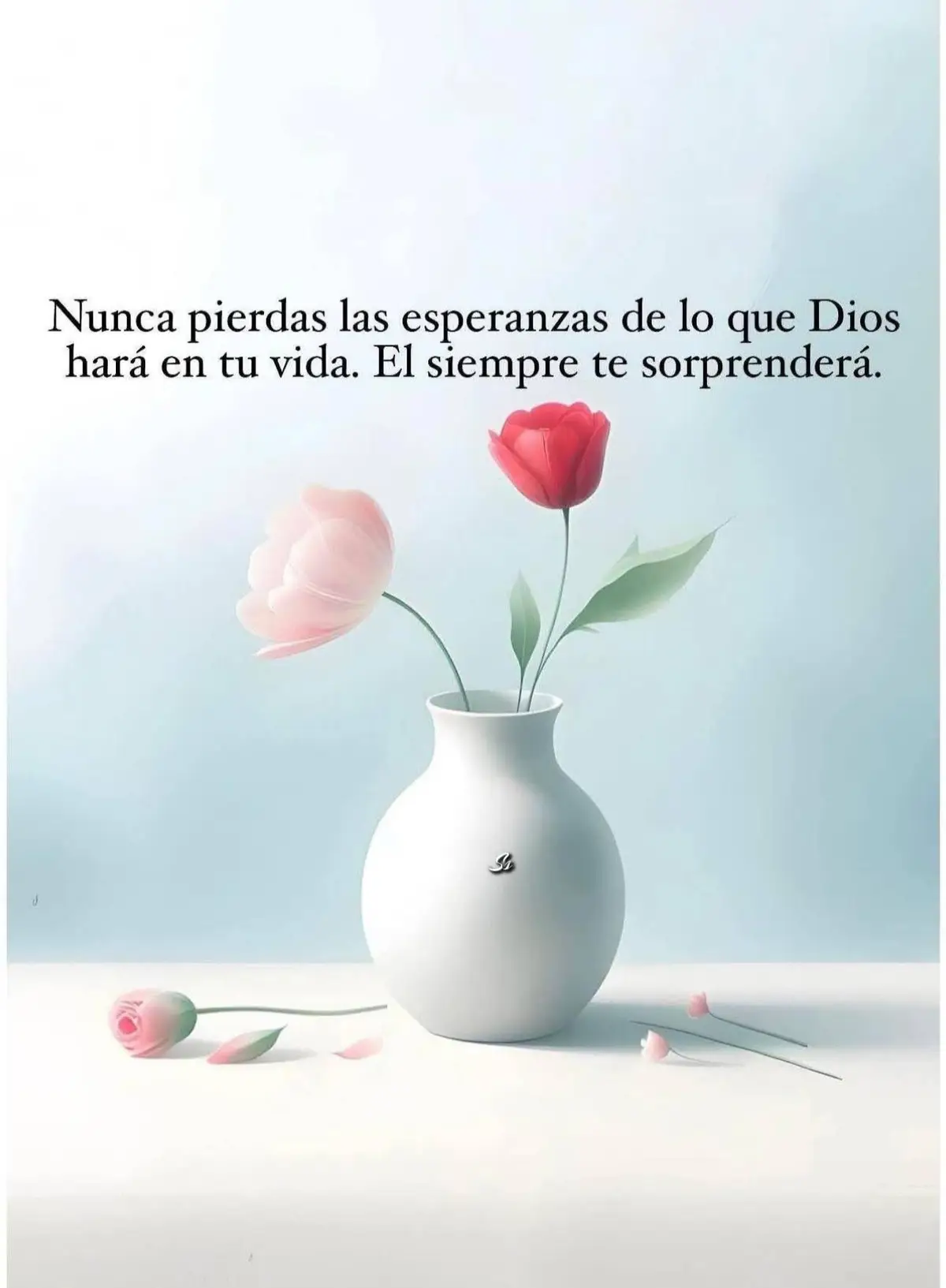 Nunca #puerdas La esperanza #Dios es fiel #foryoupage #comparte_like_sigueme💞 #sigueme 