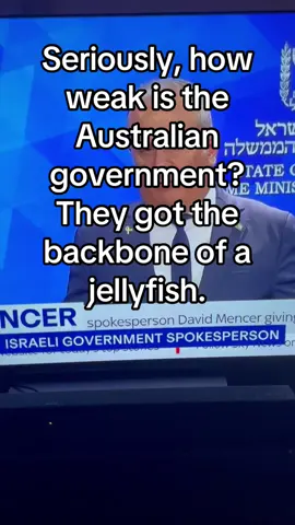 How weak is the Australian government? ##polic##politics##australia#