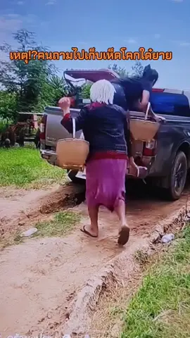 #อุบัติเหตุตลก #fypシ゚ 