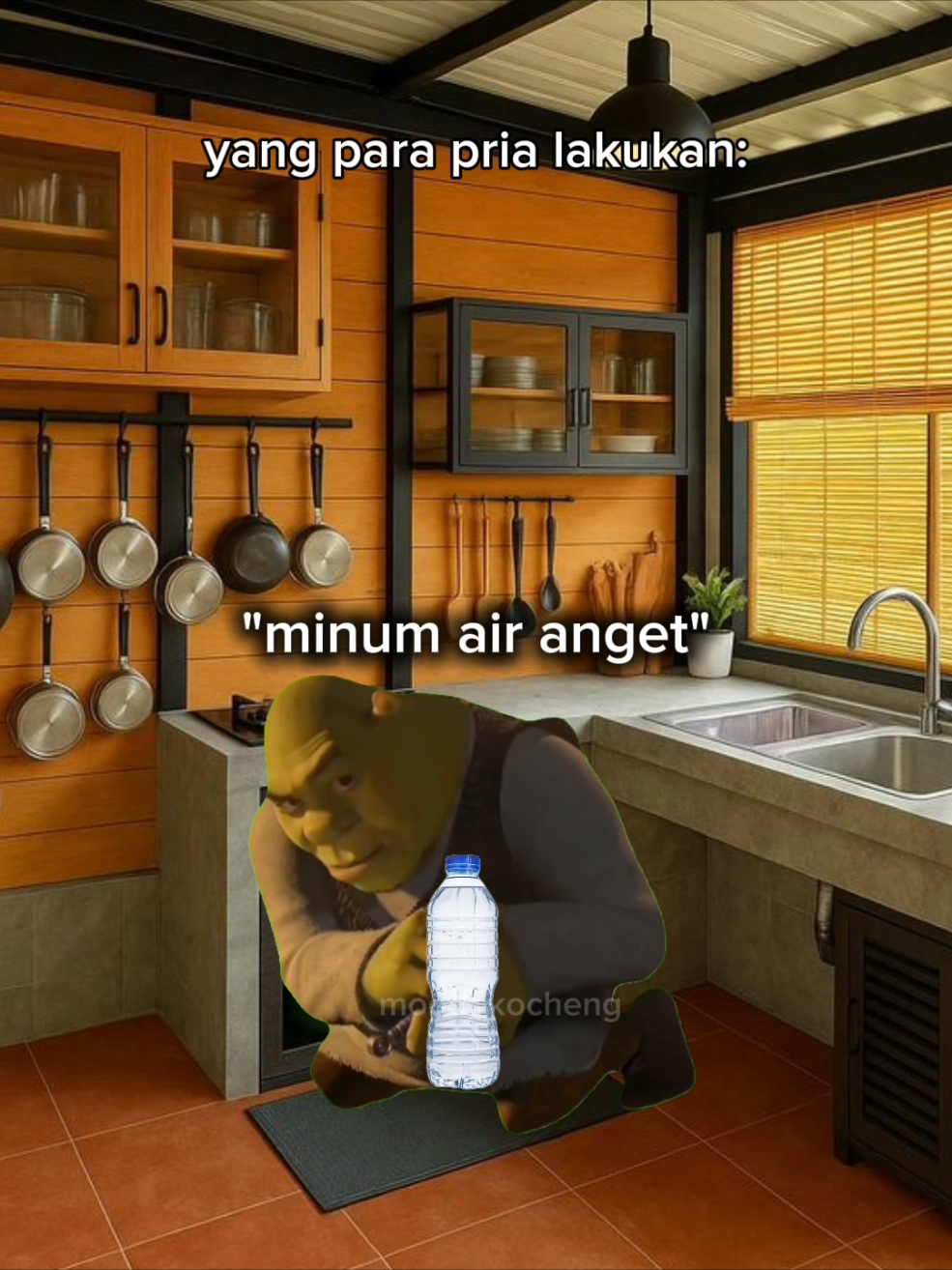 #fyp #memekucing #meme 
