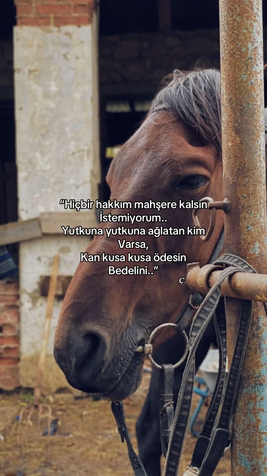 #izmir #keşfet 