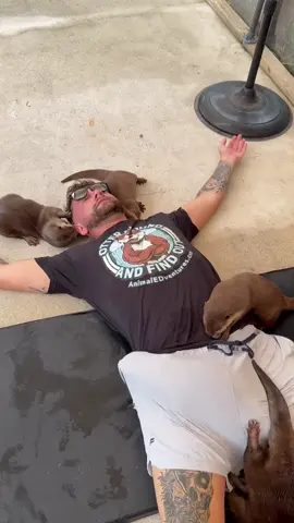Is that an Otter in your pants? Or are you just happy to see me 🤣 These guys are CRAZY! Come visit BOOK NOW at AnimalEDventures.com 