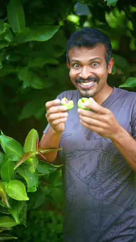 Candy Hidden Inside a Java Apple! 🤯🍬🍏