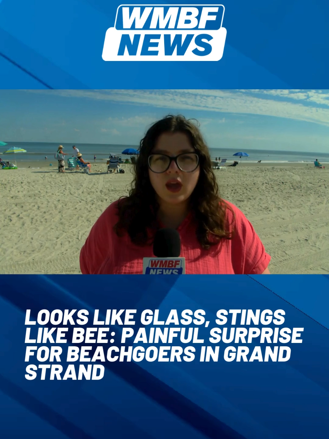 This week, beachgoers across the Grand Strand have noticed a strange addition to the shorelines. #myrtlebeach #wmbfnews #news #foryou #myrtlebeachnews #beach #seabutterflies #northmyrtlebeach #southcarolina #sc