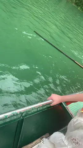 “TRÀNG AN -NINH BÌNH “ không thể diễn ta được hết vẻ đẹp nơi đây ,thơ mộng và hùng vĩ  quá đi mất thôi , có dịp mình sẽ ghé lại nơi đây nhiều lần nữa 😍 .🍀28/8/2025 #tranganninhbinh #cuocsongthuongngay 