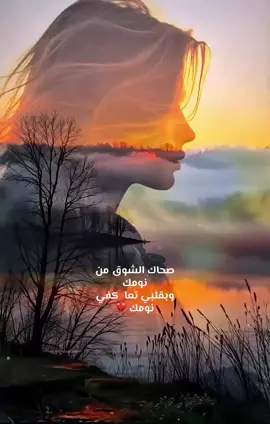 #صحاك_الشوق #فضل_شاكر #نغم #fyp #music 