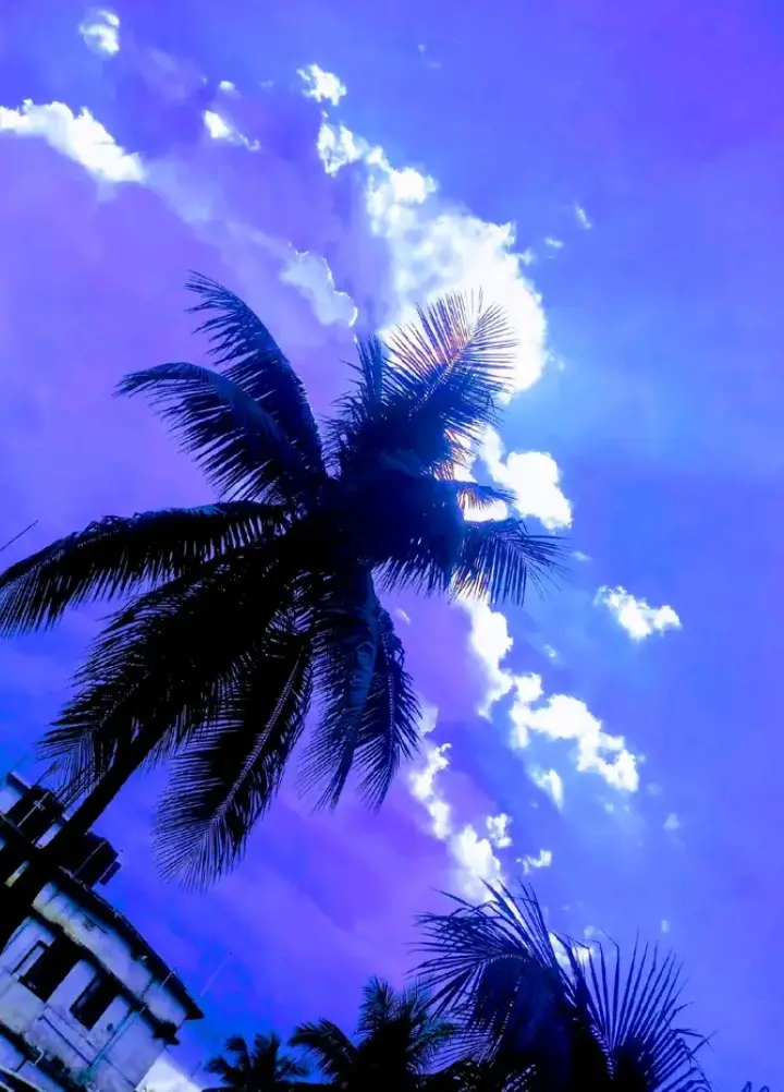 ✨ আমি আমার ভাইয়ের খুব শখের ছোট বোন 🥰 ......................................................................