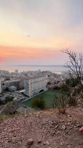Et mon bb vx ds sousou 🥹🤑#marseille #jul #notredame 