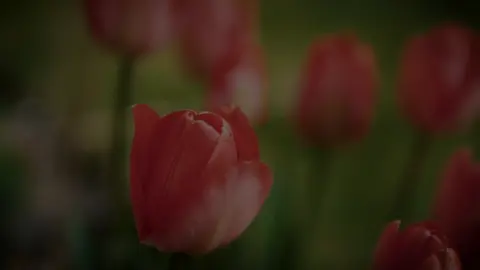 🧡اللَّهُمَّ صَلِّ عَلَى مُحَمَّدٍ وَعَلَى آلِ مُحَمَّدٍ🧡 #Quran#اجر_لي_ولكم#التوحيد  #اللهم_صل_على_نبينا_محمد  #استغفرالله_واتوب_اليه   