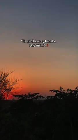 “Ez çî bîkîm ray le nabe, Dîle mîn..”🖤🌹 #meralsimsekk1 #storylikvideolar #storylikşarkılar #fyppp 