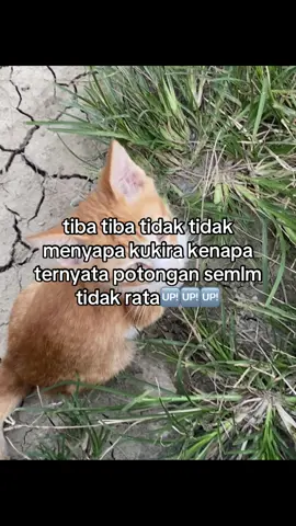 Pantes bae idak negor lagi🤣 #palembangcity #promomakangajian #followme 