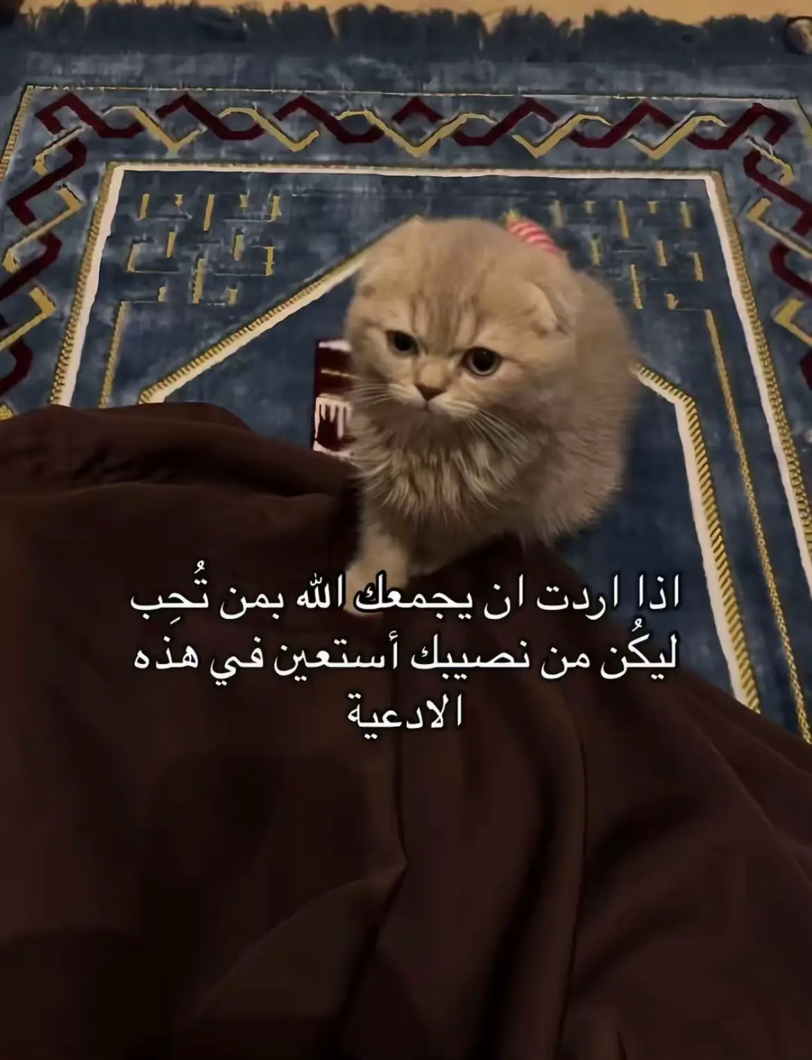 #foryou #محبوبي 