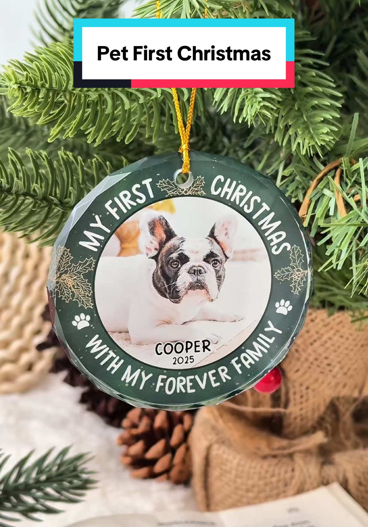 A glass ornament to treasure your pet’s very first holiday 🎄🐱 #macorner #ornament #petlovers #firstchristmas #dogmom