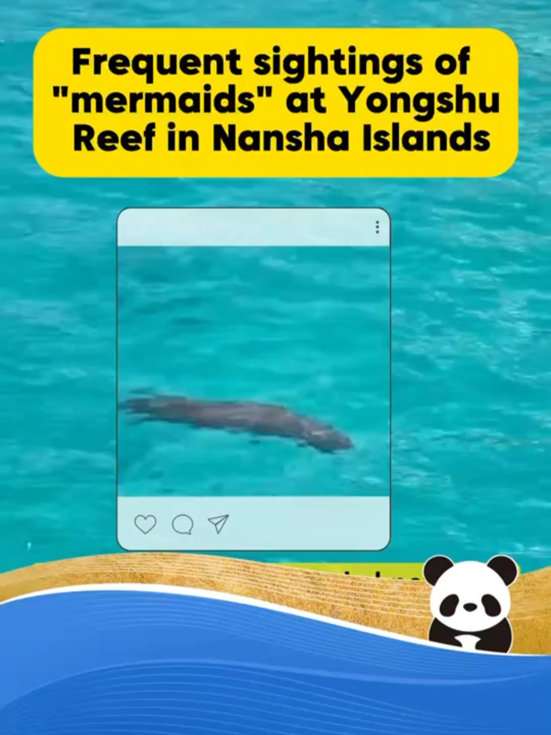 Since mid-July, the environmental authority stationed on Yongshu Reef in the Nansha Islands, along with researchers from the Chinese Academy of Sciences, have been continuously monitoring the nearshore waters of the reef and have observed dugongs, which are nationally first-class protected animals. Credit to CGTN