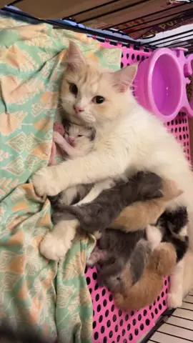 dipeluk ibu🥹