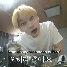 mirip tapi gamirip tapi mirip maaf kalo ada salah foto🙏 #sunoo #sohyuntriples #enhypen #triples 