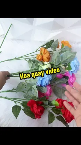 Cành 2 hoa 1 nụ 7k9. #hoagia #hoanhieumau #hoalua 