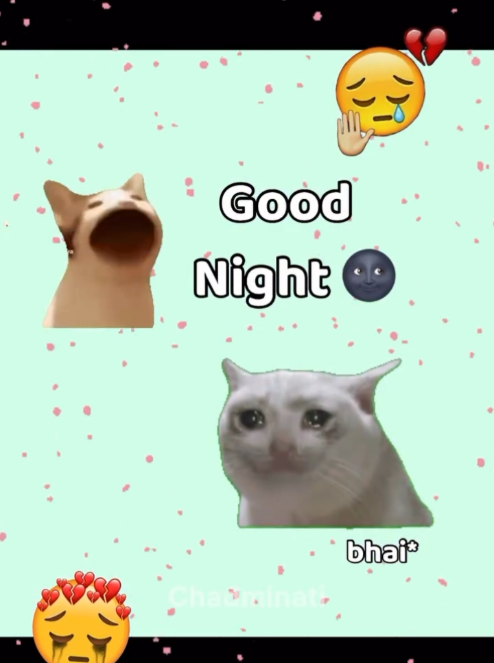 Good night😂#creatorsearchinsights #fypシ゚ #funny #memes #foryou 
