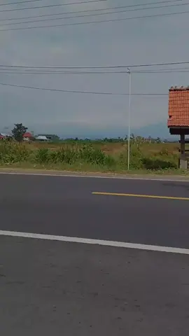 Jika aku bisa memilih...  #promomakangajian  #CapCut 