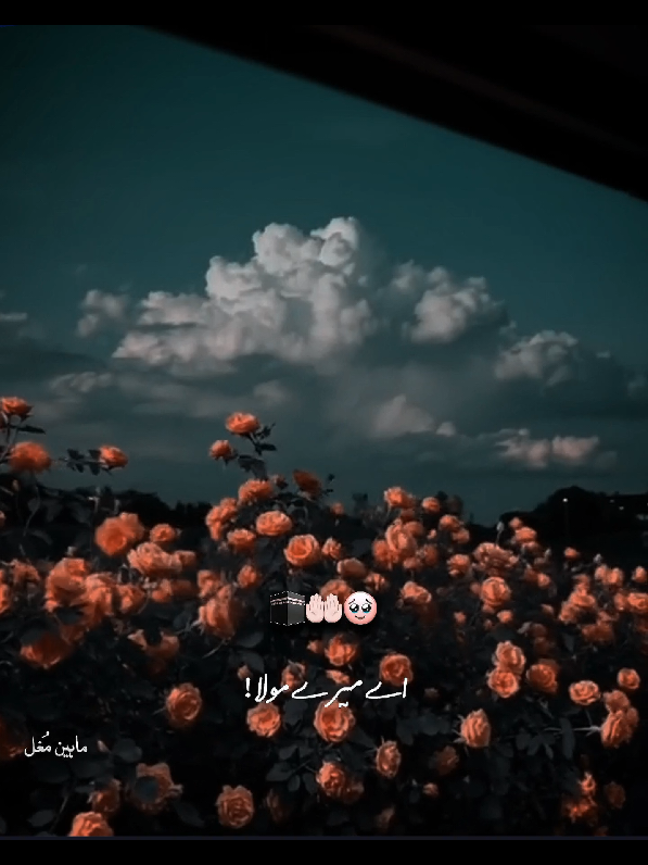 اے اللہ سیلاب زدگان کی مدد فرما۔آمین🕋🤲🏻🥹#rtthf❤️✅ #repost #trendingvideo #foryou #whatsappstatus 