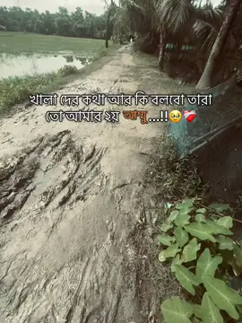 🥺❤️‍🩹 #khorgosh #hey_sadiya #foryou #foryou #vairalvideo @TikTok Bangladesh 
