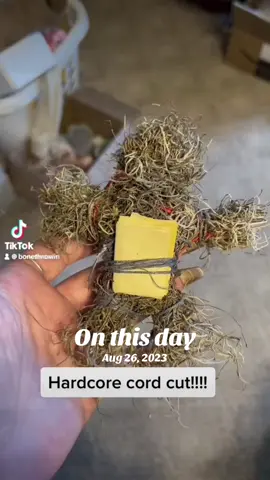 #onthisday cord cut! #witchesoftiktok #witchtok #spells #cordcutting 
