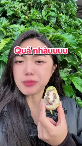Giờ mới dám ăn quả Nhàu luôn ớ #mukbang #quanhau #c0gaidalat #asmr #dalat 