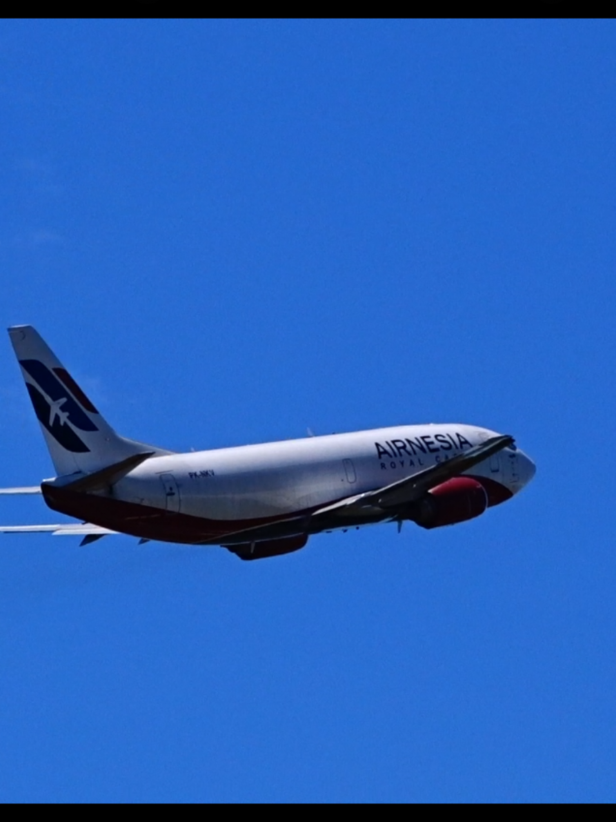 Boeing 737-300 Airnesia Royal Cargo Take Off #b737 #terbang #takeoff 
