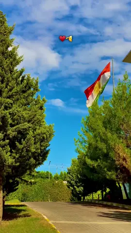 ♥️🫡….Kurdistan ♥️☀️💚#fypシ #virall #foryou #tiktok #barzani 