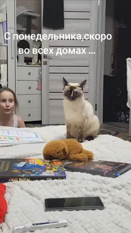 ну началось🤣🤣🤣