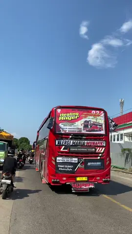 nguber masok parkiran anyerr wkwk #saljufikri #nabiltrans #defatrans #vidiobus #fyp 
